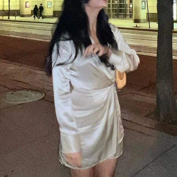 Alaine Silk Dress - Champaign - Reformation - Picture 5 of 5